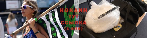 стаф Наволоки