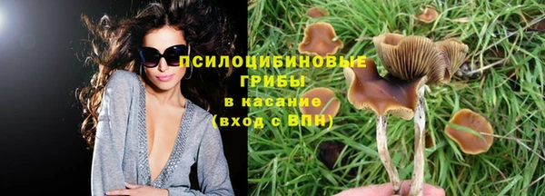 герыч Нея